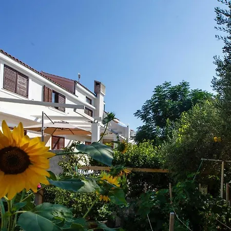 Nina Supetarska Draga