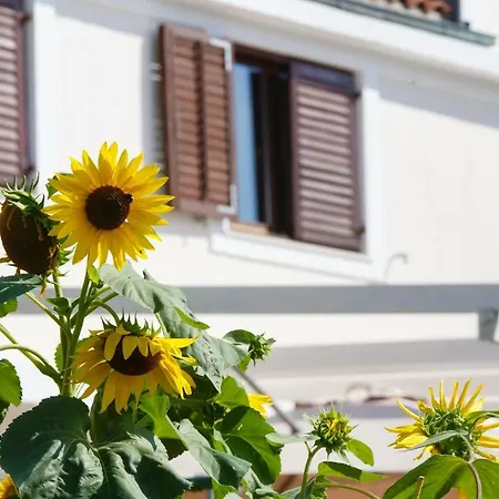 Nina Supetarska Draga