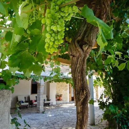 Apartment Nina Supetarska Draga
