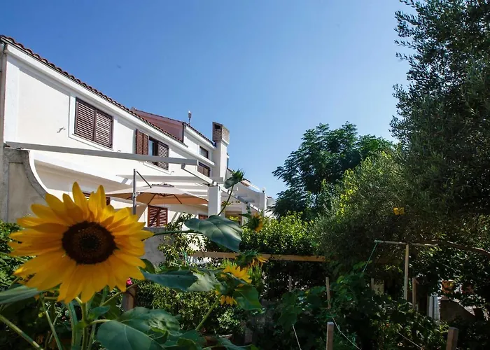 Nina Supetarska Draga