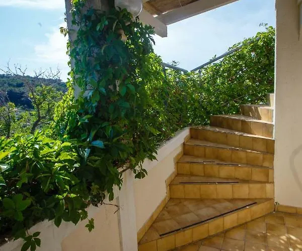 Nina * Supetarska Draga