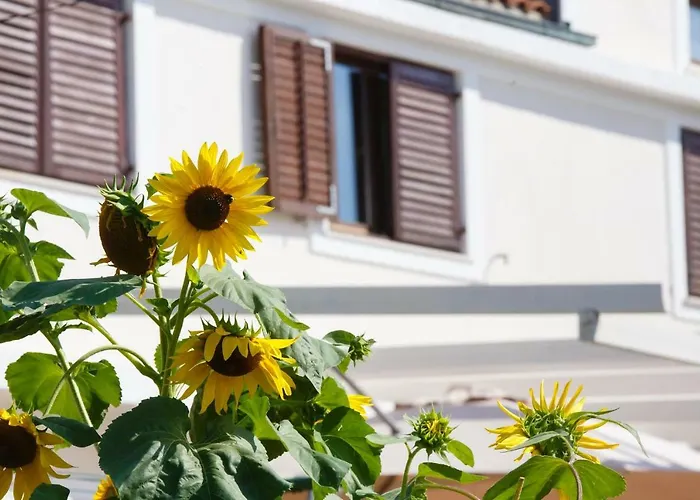 Nina スペタルスカ・ドラガ